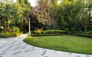 Commercial Lawn And Trees In City Center