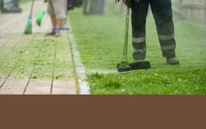 Person Trimming Turf Near Walkway