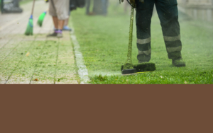 Person Trimming Turf Near Walkway V2