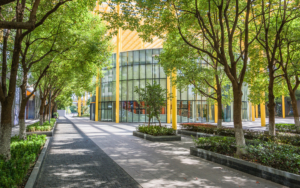 Trimmed Trees And Bushes In City Center
