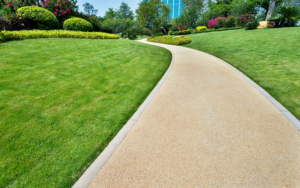Walking Path With A Freshly Cut Lawn On Each Size
