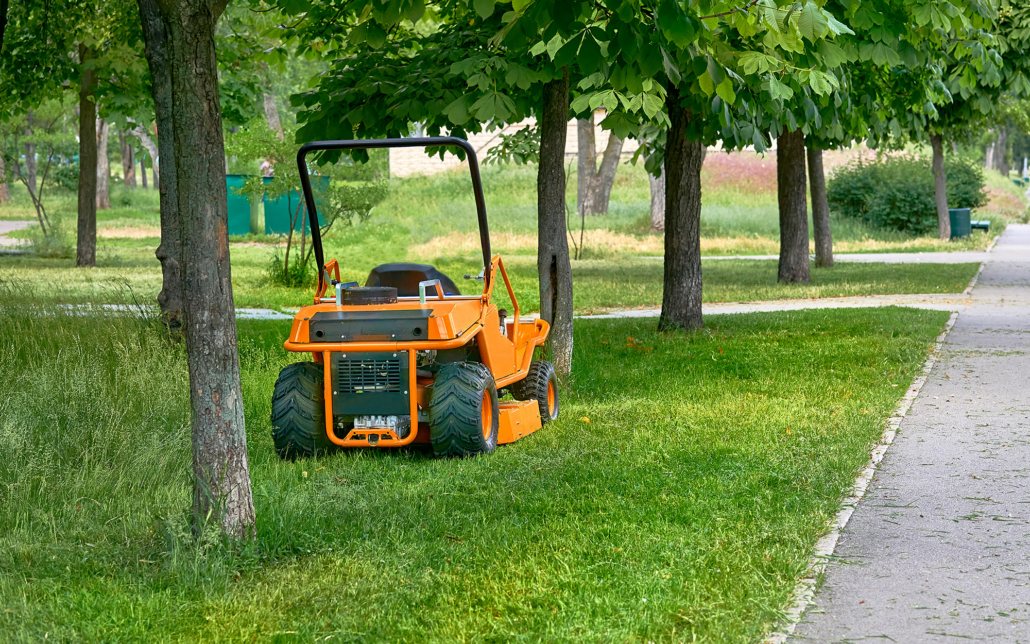 Sitting Lawnnmower Between Trees