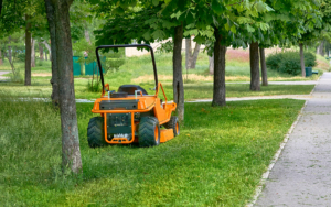 Sitting Lawnnmower Between Trees