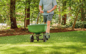 Man Walking Around Fertilizer On Commercial Lawn