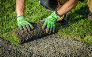 Person Laying Turf On Lawn