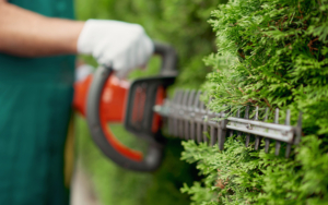 Person Trimming A Bush On Commercial Property