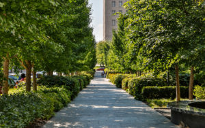 Stl Downtown Area's Landscaped Trees And Bushes