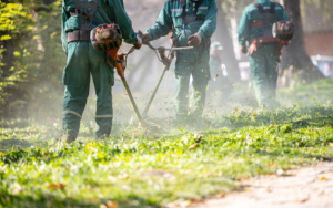 Team Of Workers Trimming Lawn In Park
