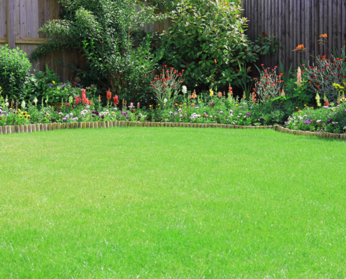 Grub Control In Your St. Louis Lawn How To Spot Them, Stop Them, And Prevent The Damage