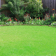 Grub Control In Your St. Louis Lawn How To Spot Them, Stop Them, And Prevent The Damage
