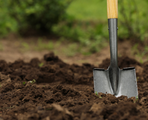 Soil Testing For Lawns