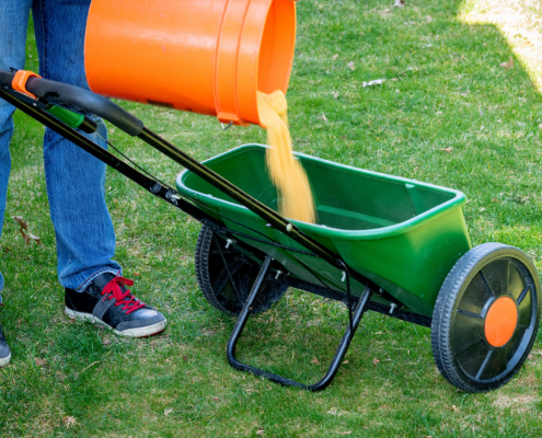 When To Fertilize Your Lawn In St. Louis